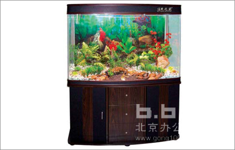 鱼缸正面图