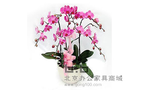 迎福纳祥正面图